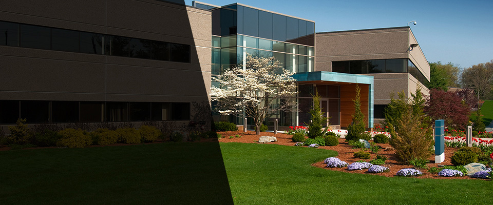 Dunstable Landscapers