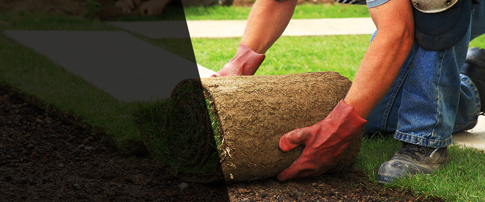 Dunstable Landscapers